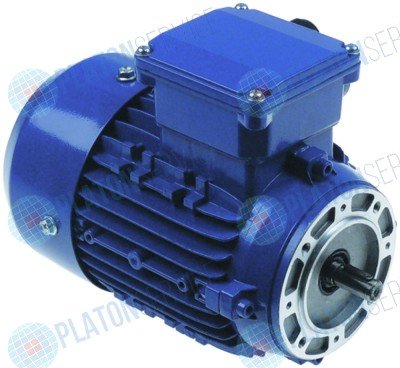 Мотор конденсаторапара0,18KW4P230/400V50HZ 3000120
