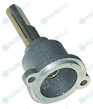 Передняя часть газового крана ? ось 10x8мм длина оси 35/17мм сверху/снизу подходит для PEL23S Electrolux 59853