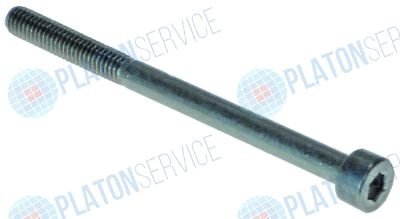 Винт M4 304003