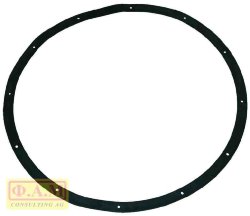 GASKET FOR TANK - 12 HOLES  PRI505000001