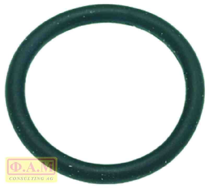 Уплотнительное кольцо 03081 EPDM O-RING 03081 EPDM  456010