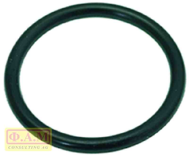 Уплотнительное кольцо 04131 EPDM O-RING 04131 EPDM  456016