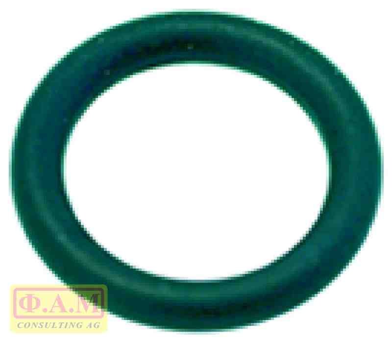 O RING 02031 EPDM  36404007