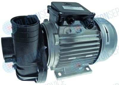 Насос ZF800 60Гц 100883